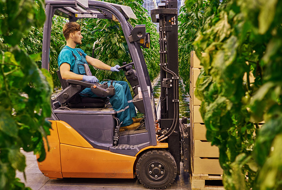 What Should You Consider When Buying An Eco-Friendly Forklift?