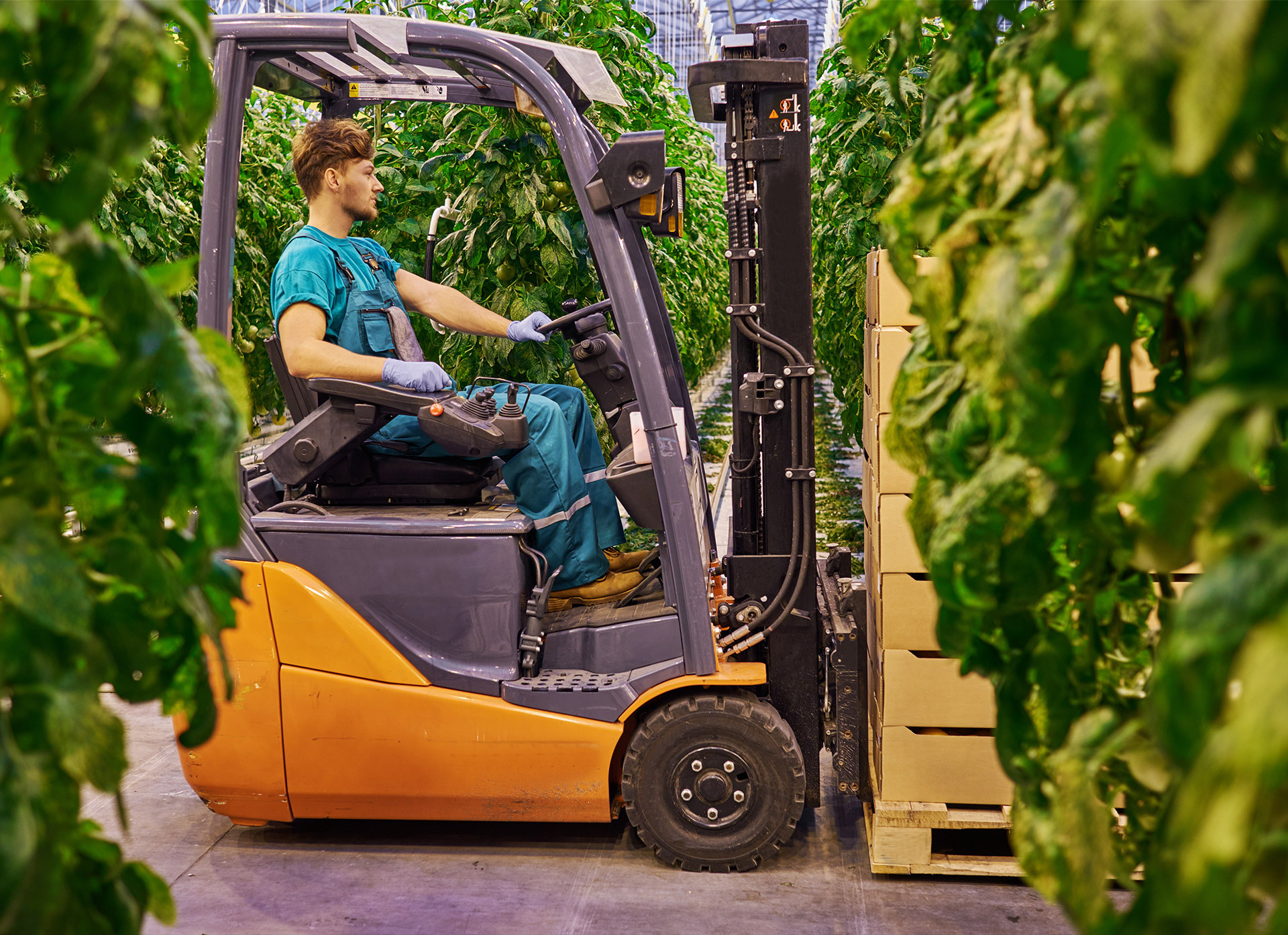 Why 2024 is the Perfect Time to Invest in a New Forklift